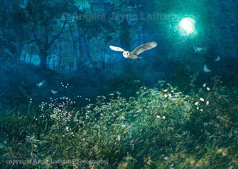 Midsummer Moonlight - Magical Artwork