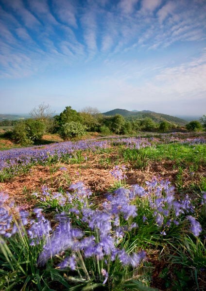  - Landscape Photography