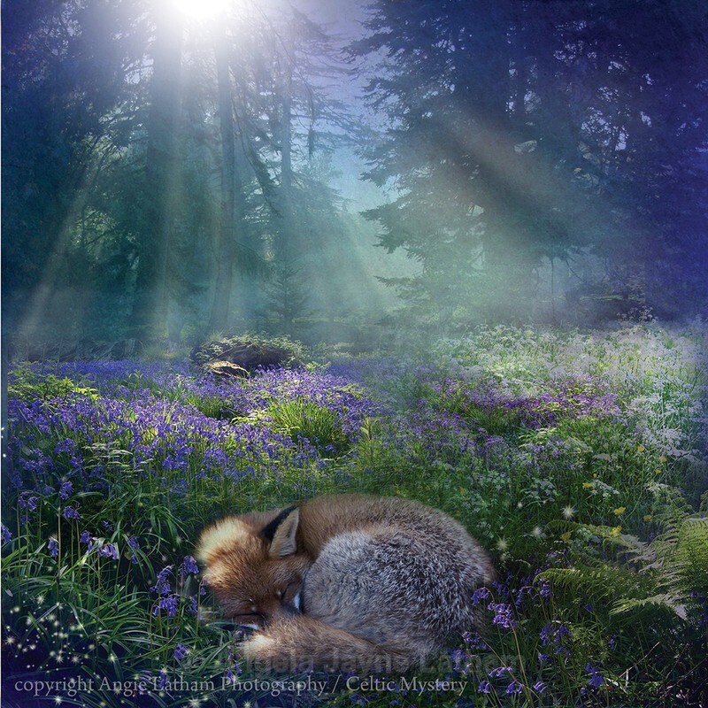 Bluebell Dawn - Magical Artwork