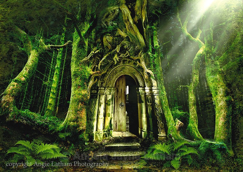 The Emerald Forest - Magical Artwork
