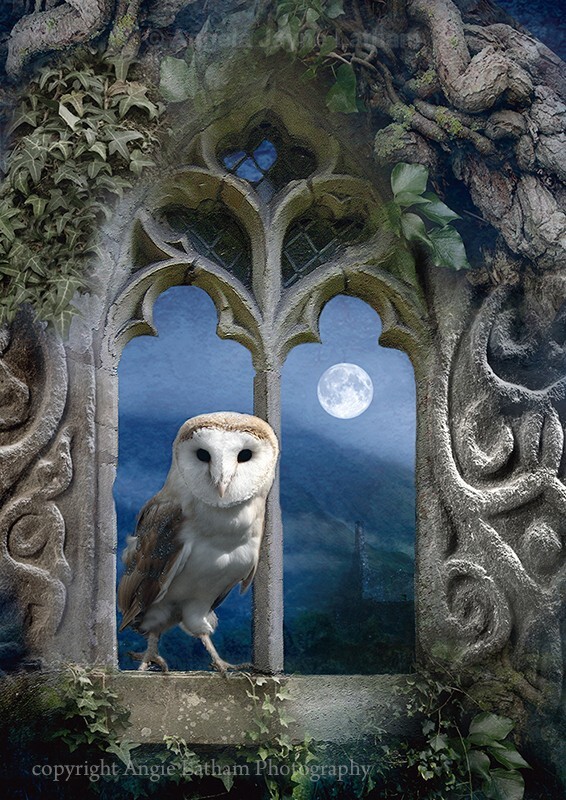 Evening Falls - Magical Artwork