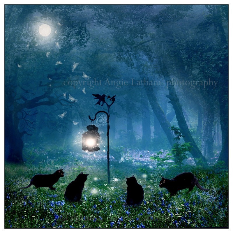 The Witches Cats (square) - Magical Artwork