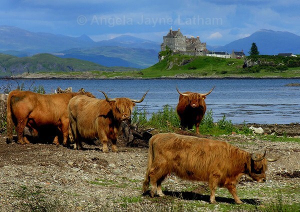  - Landscape Photography