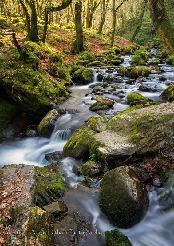  - Landscape Photography