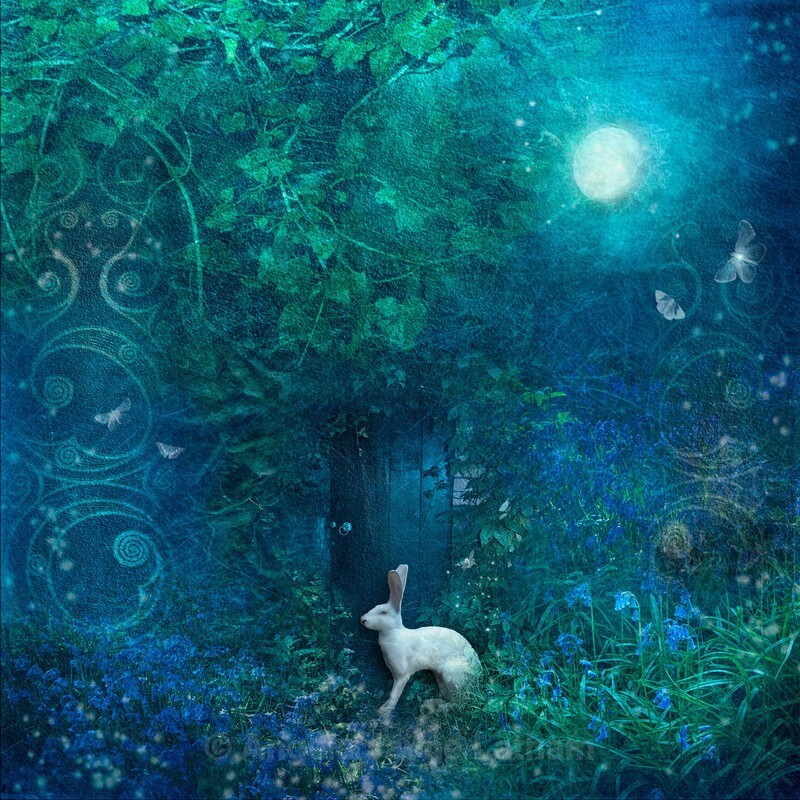 Midnight in the Secret Garden - Magical Artwork