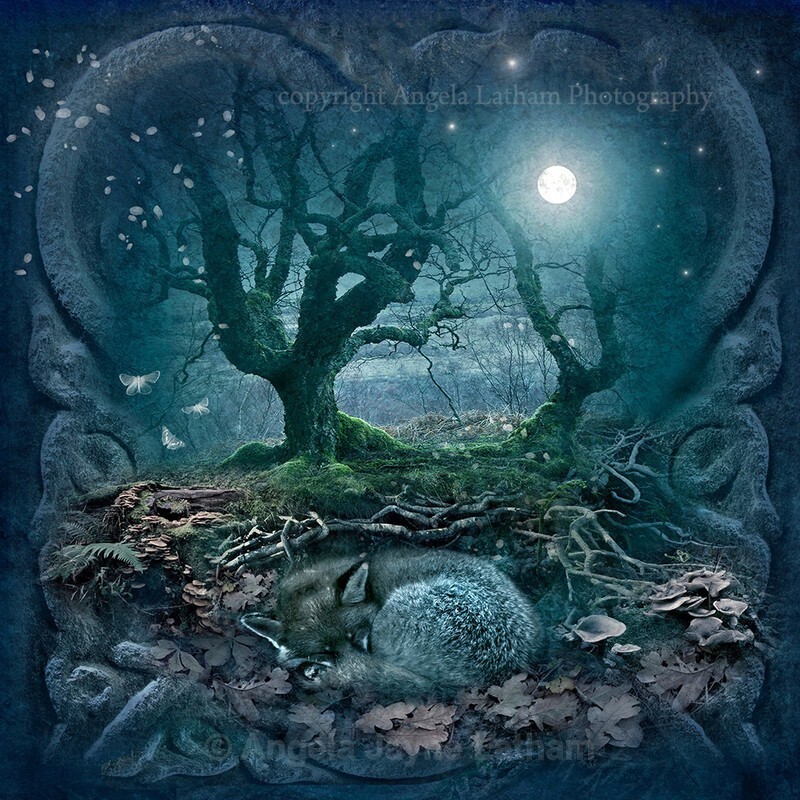 Dreaming Mr Fox - Magical Artwork