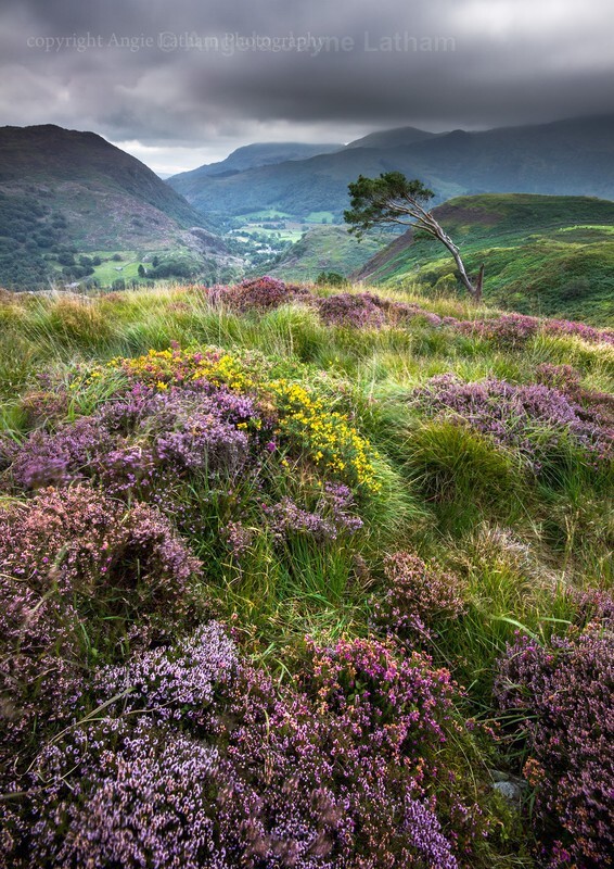  - Landscape Photography