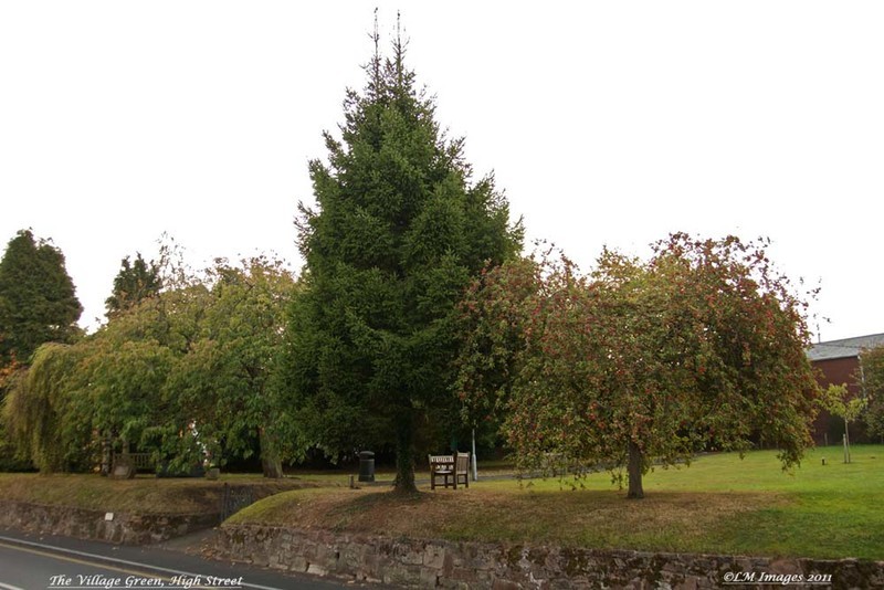  - Belbroughton Calendar Images