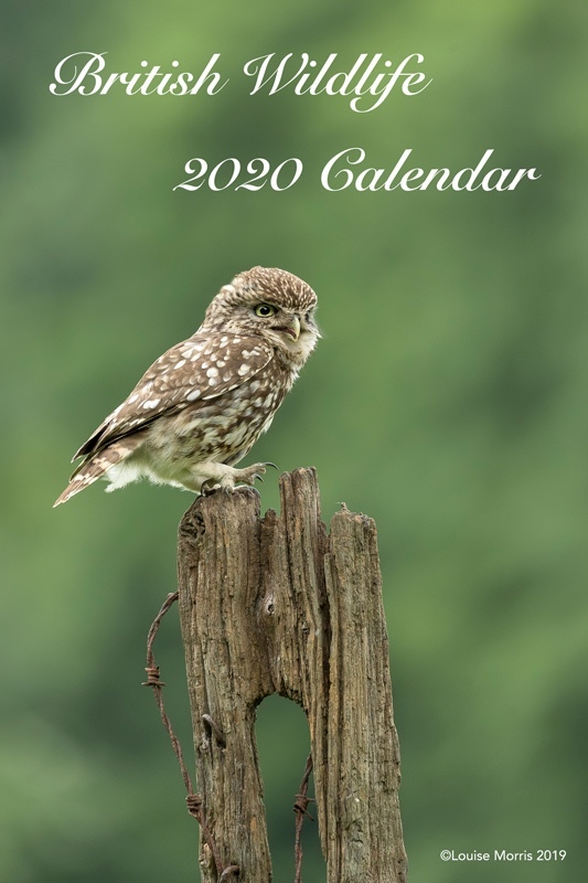  - 2020 Charity Calendar