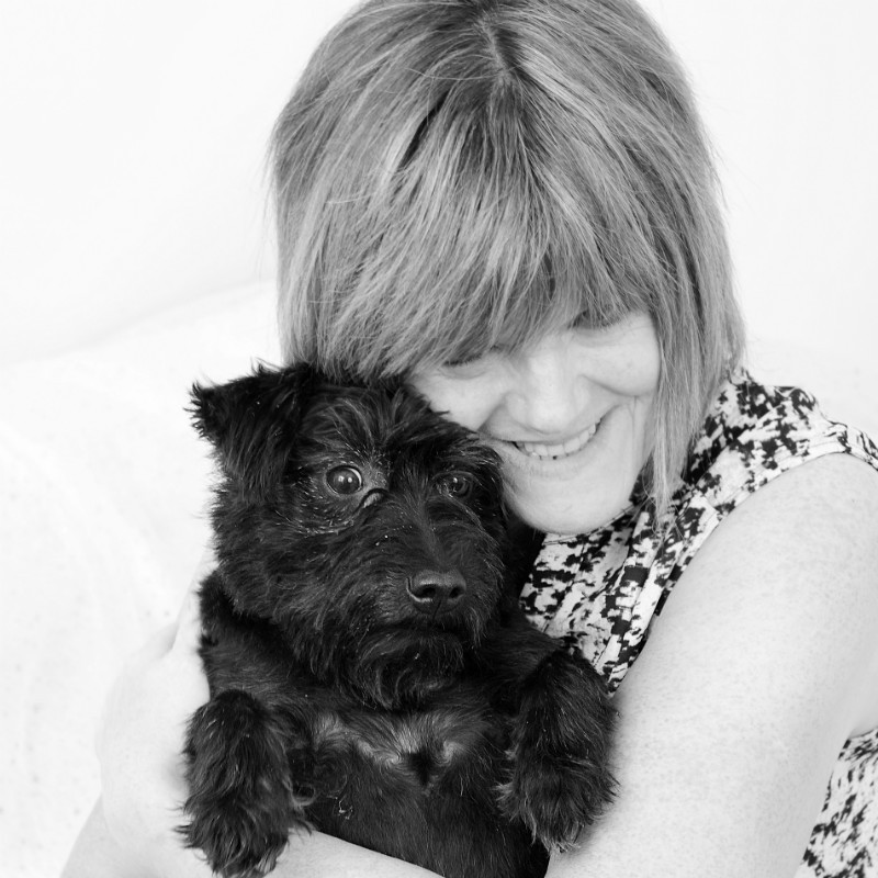  - The Tail Wags Gallery