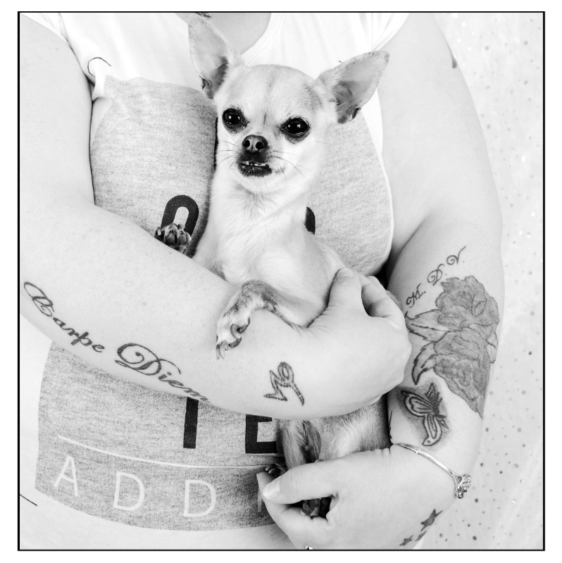  - The Tail Wags Gallery