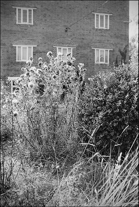  - The Old Mill - Once called Lewsey's Mill