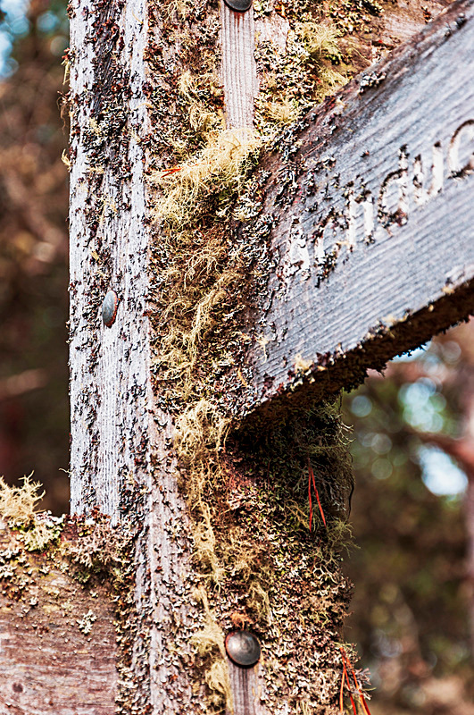 A well weathered signpost - Laggan