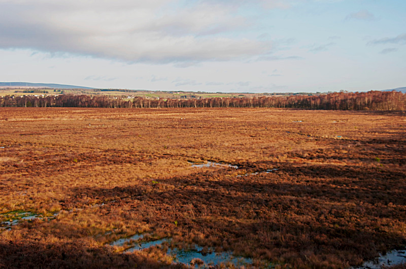 Flanders Moss 2 - Landscape