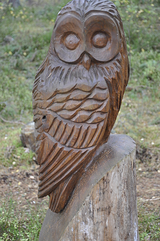 Owl - Laggan