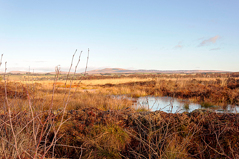 Flanders Moss - Landscape