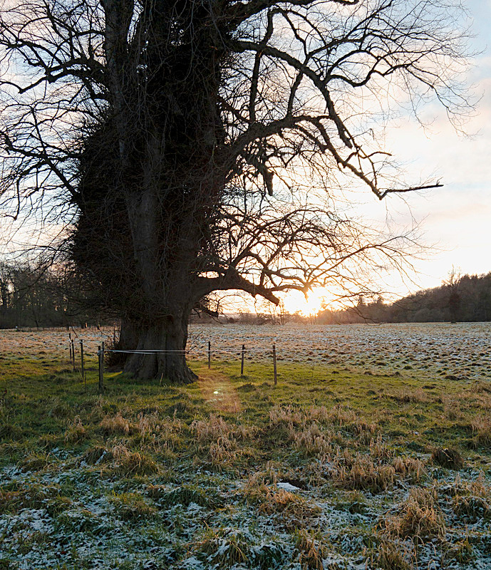 Setting Sun - East Lothian