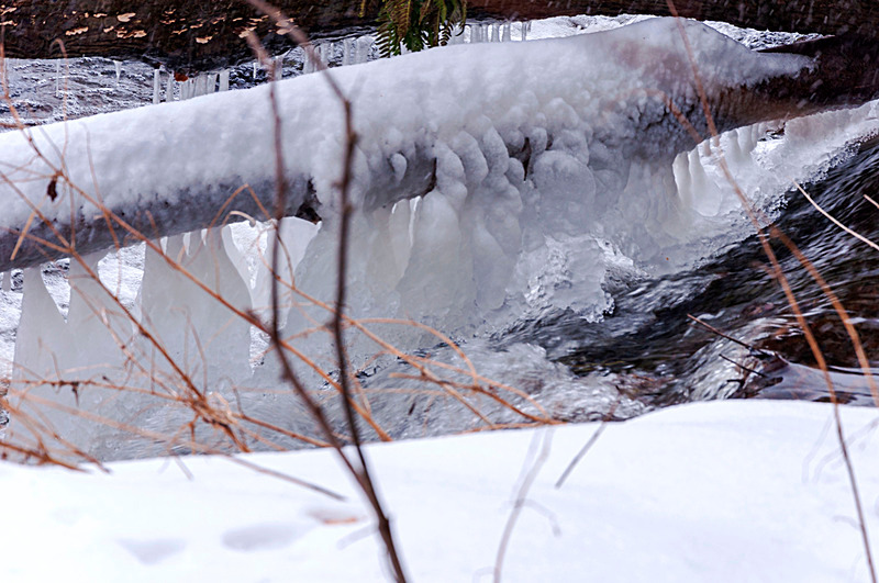 Icicles - East Lothian
