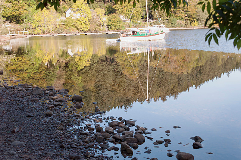 Autumn Reflections - Laggan