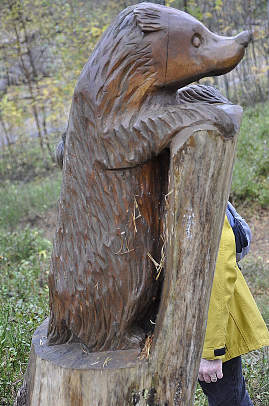 Bear - Laggan