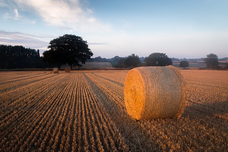  - Constable Country