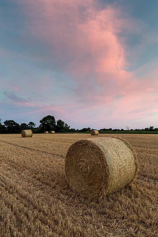  - Constable Country