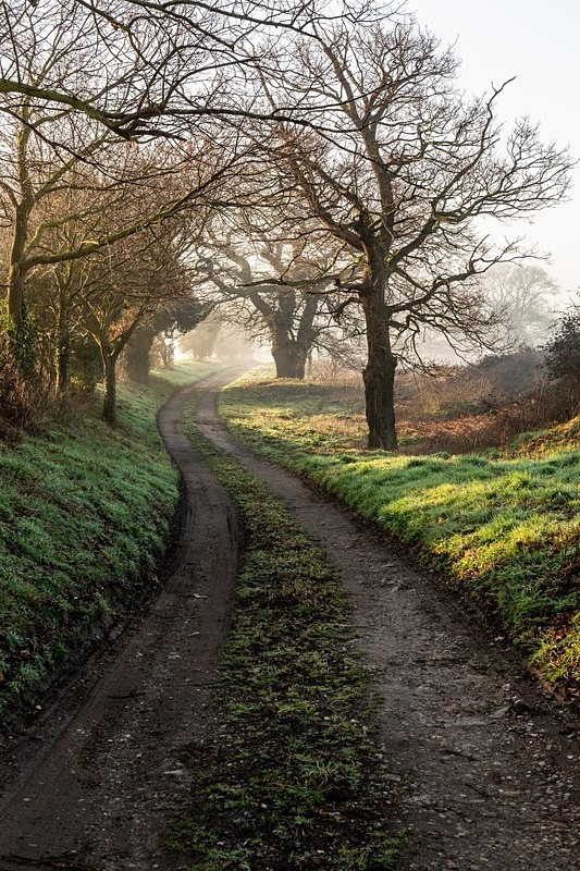  - Suffolk