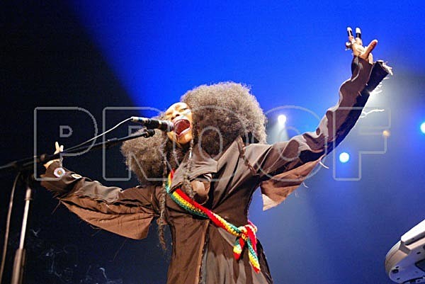 Erikah Baddu Live2 - Black Ink Photo
