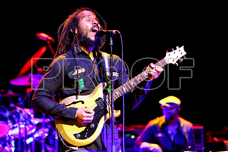 Ziggy Marley2 - Black Ink Photo