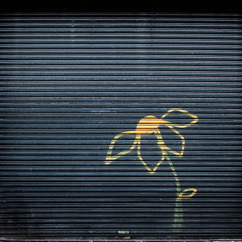 new-growth - 1/52 2021