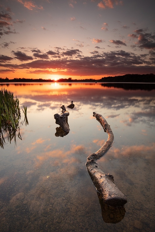 towards-sundown - 1/52 2021