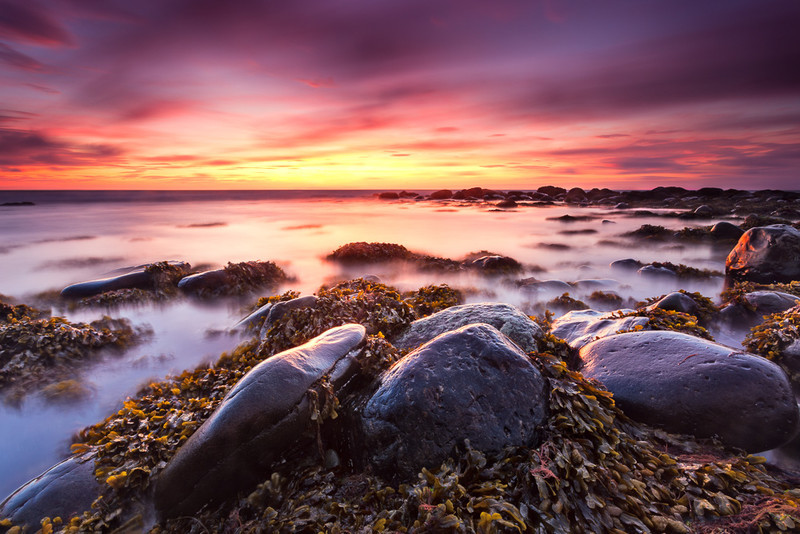 Serendipity - Selected images from the archive