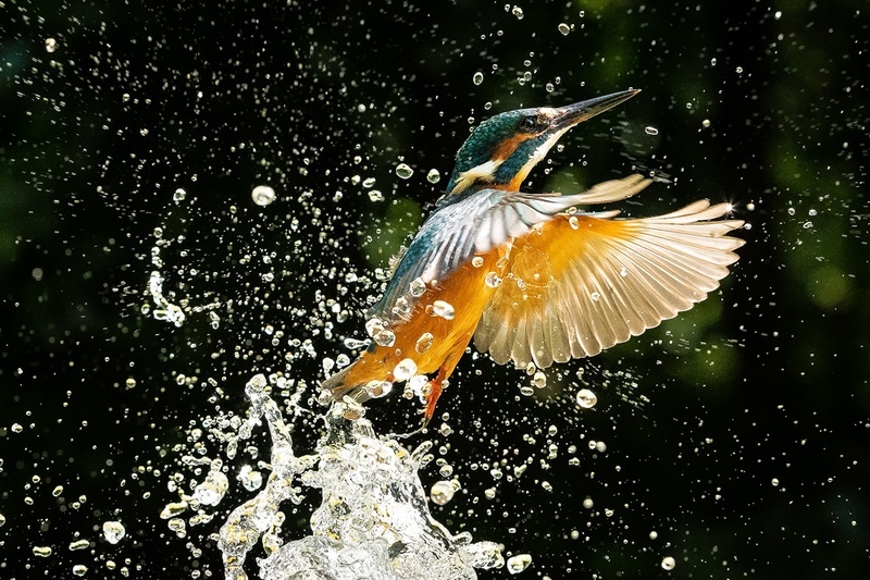  - Nature