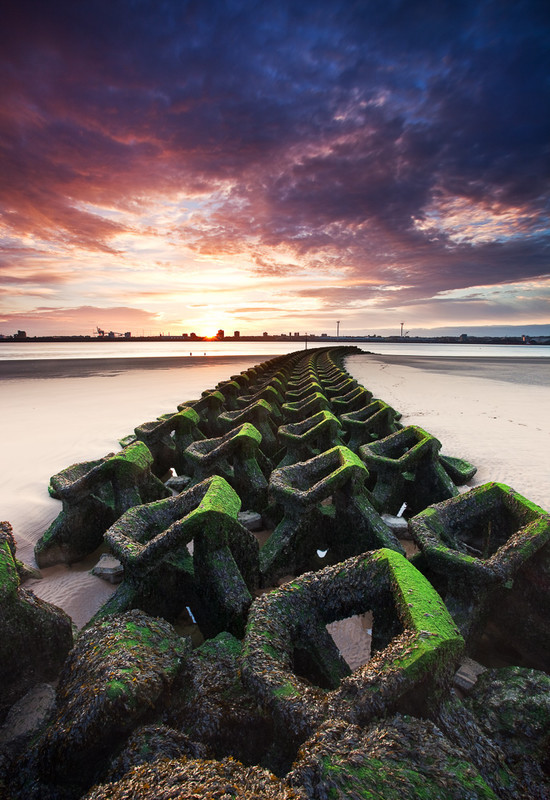 No Barrier to the Dawn - Selected images from the archive