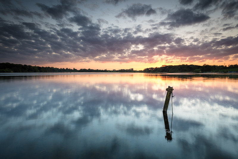 18 of 52: Budworthmere - 1 out of 52 project 2018