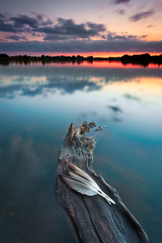 For Tinsel - Selected images from the archive
