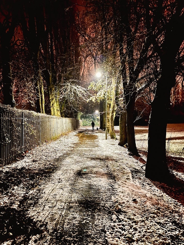 november-snow - 1/52 2021