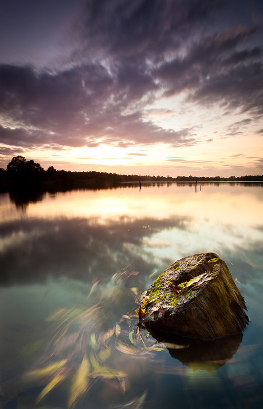 Autumnal Flow - Selected images from the archive