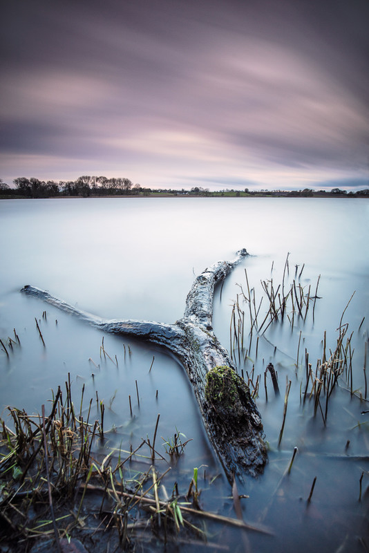 4 of 52: Pickmere - 1 out of 52 project 2018