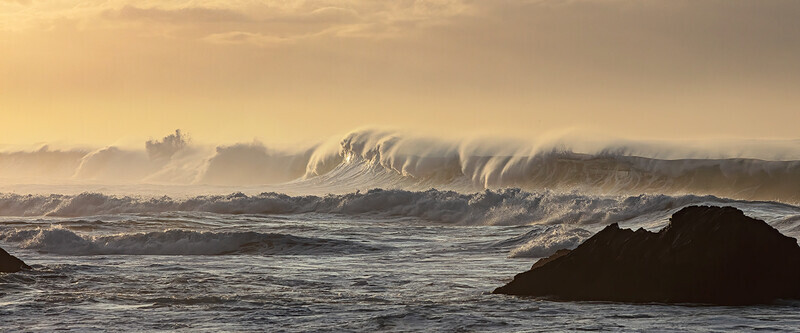 early-morning-rollers - South Africa 2020