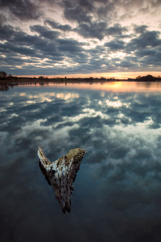11 of 52: Pickmere Lake - 1 out of 52 project 2018