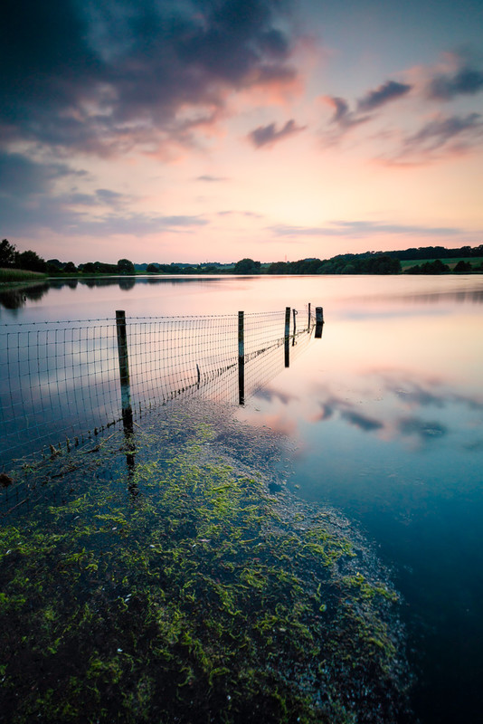 23 of 52: Pickmere Lake - 1 out of 52 project 2018