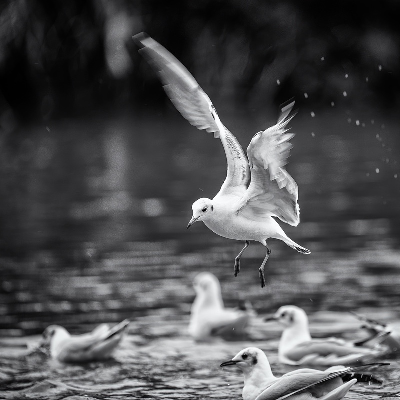 Incomming - 1/52 2021