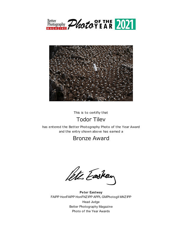 Better Photography Magazine 2021_Bronze Award_Revealing Nature - Achievements