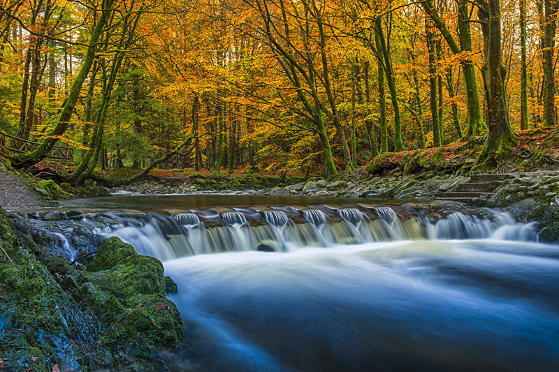 Tollymore Forest Park, Northern Ireland. - Awarded & Published Pictures 2021