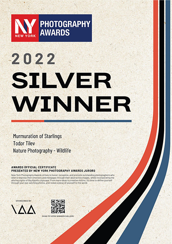 New York Photography Awards_2022_Silver Award_Nature_Wildlife - Achievements