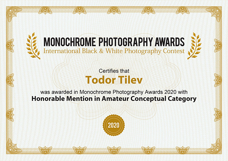 Monochrome Photography Awards_2020_Conceptual - Achievements