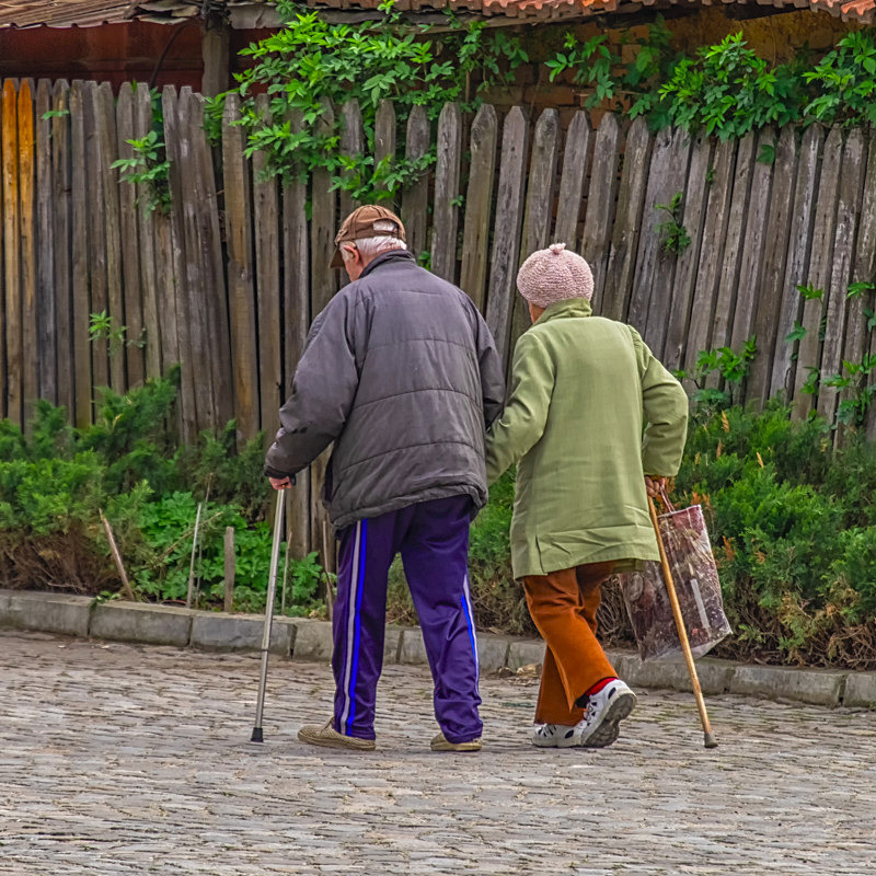 Love - Awarded Pictures 2020
