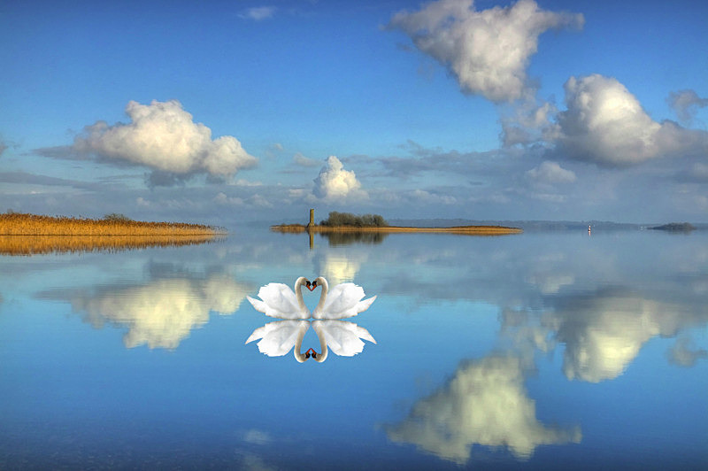 Love, Lake Ree, County Roscommon, Ireland. - Awarded & Published Pictures 2021
