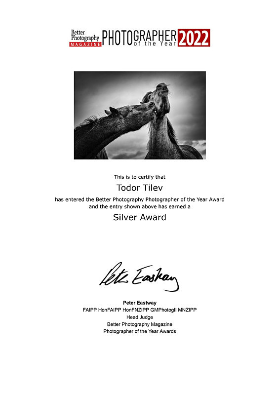 Better Photography Magazine_ 2022_Silver Award_Revealing Nature - Achievements